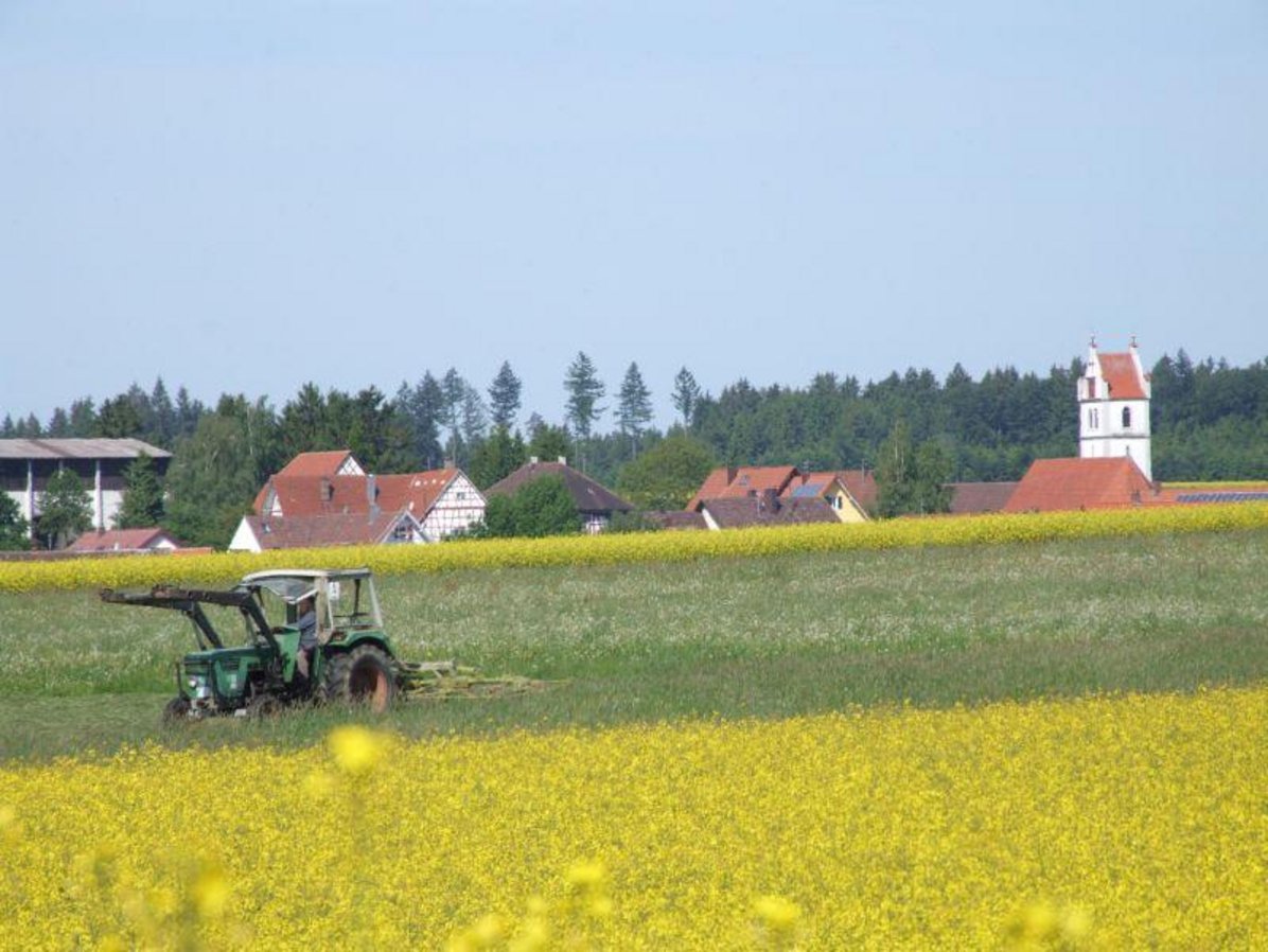 Landwirtschaft