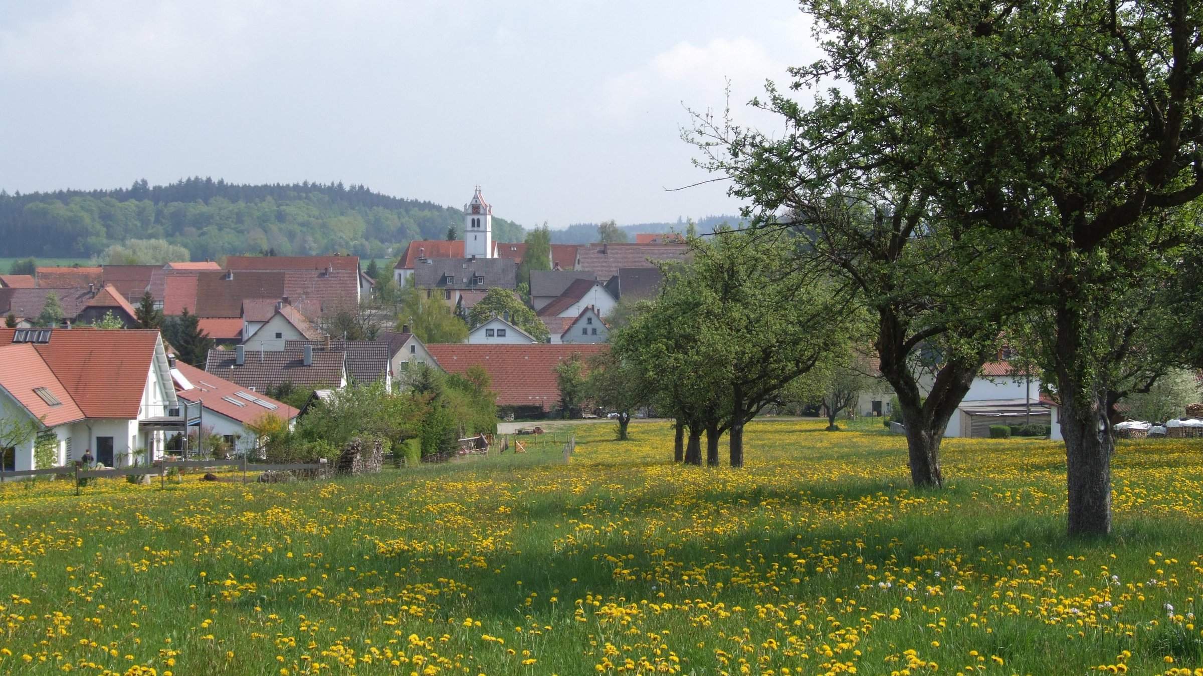 Blick auf Dürnau