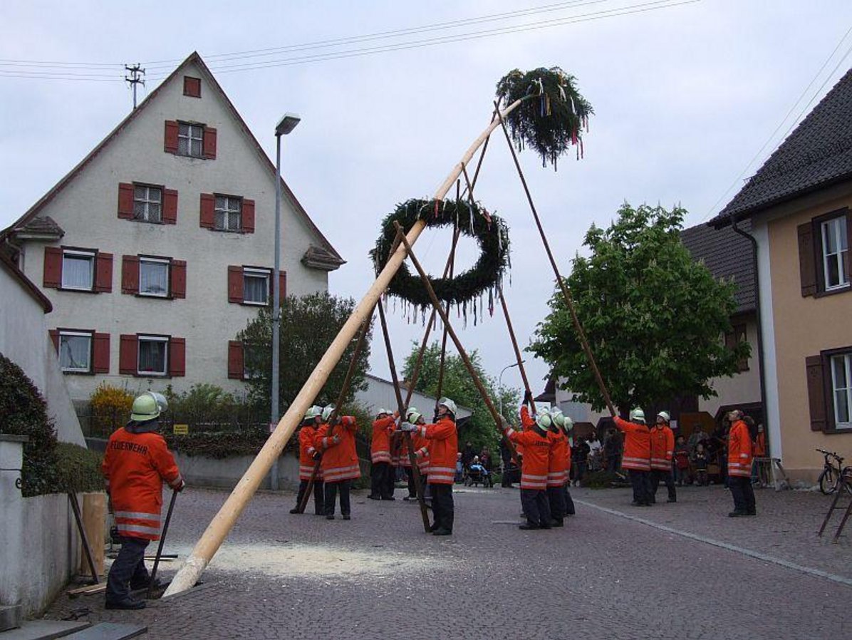 Maibaum aufstellen