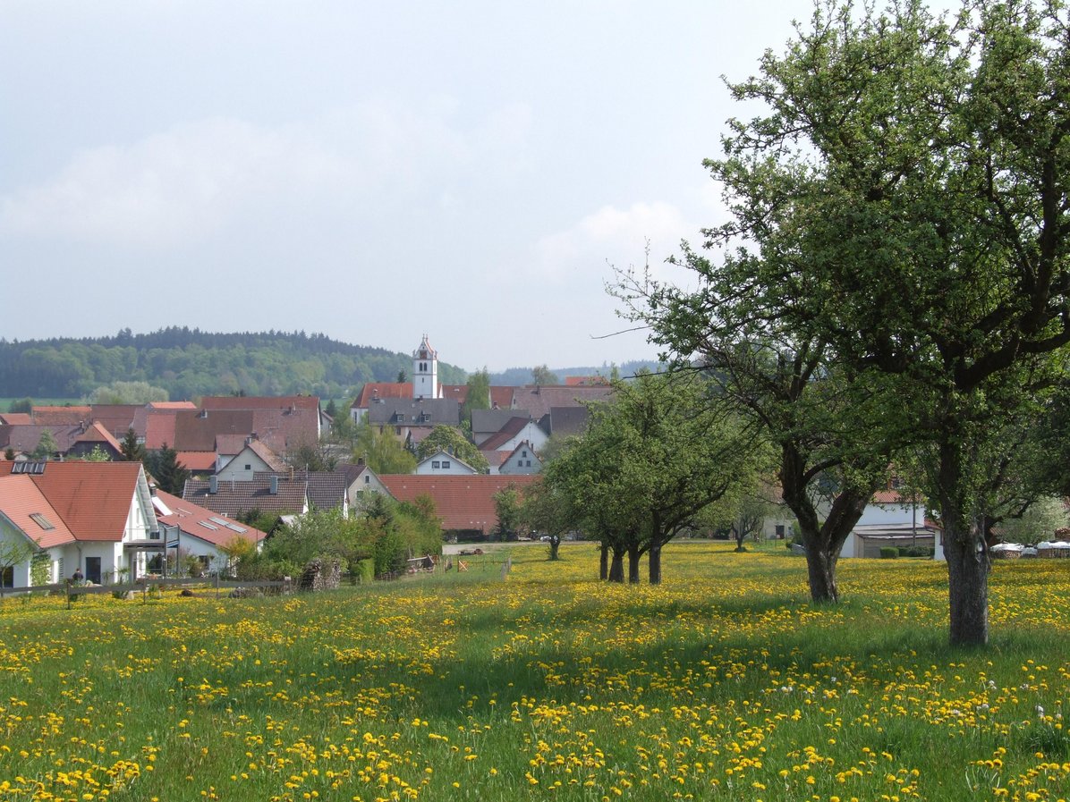 Blick auf Dürnau über Wiesen und Bäume - Bild wird durch Klick vergrößert